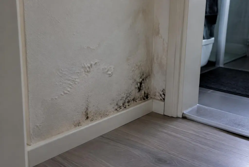 Lekdetectie Putten – vochtplek met schimmel op een muur